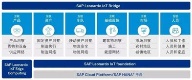 SAP Leonardo IoT 产品组合